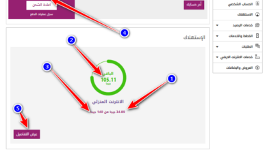 معرفة الباقي من باقة النت tedata