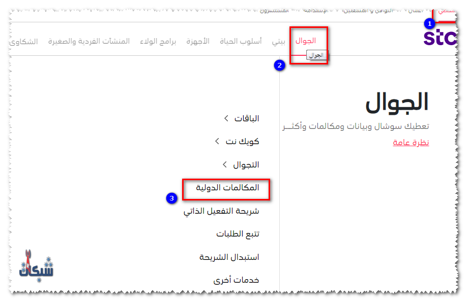  اسعار باقات المكالمات الدولية stc